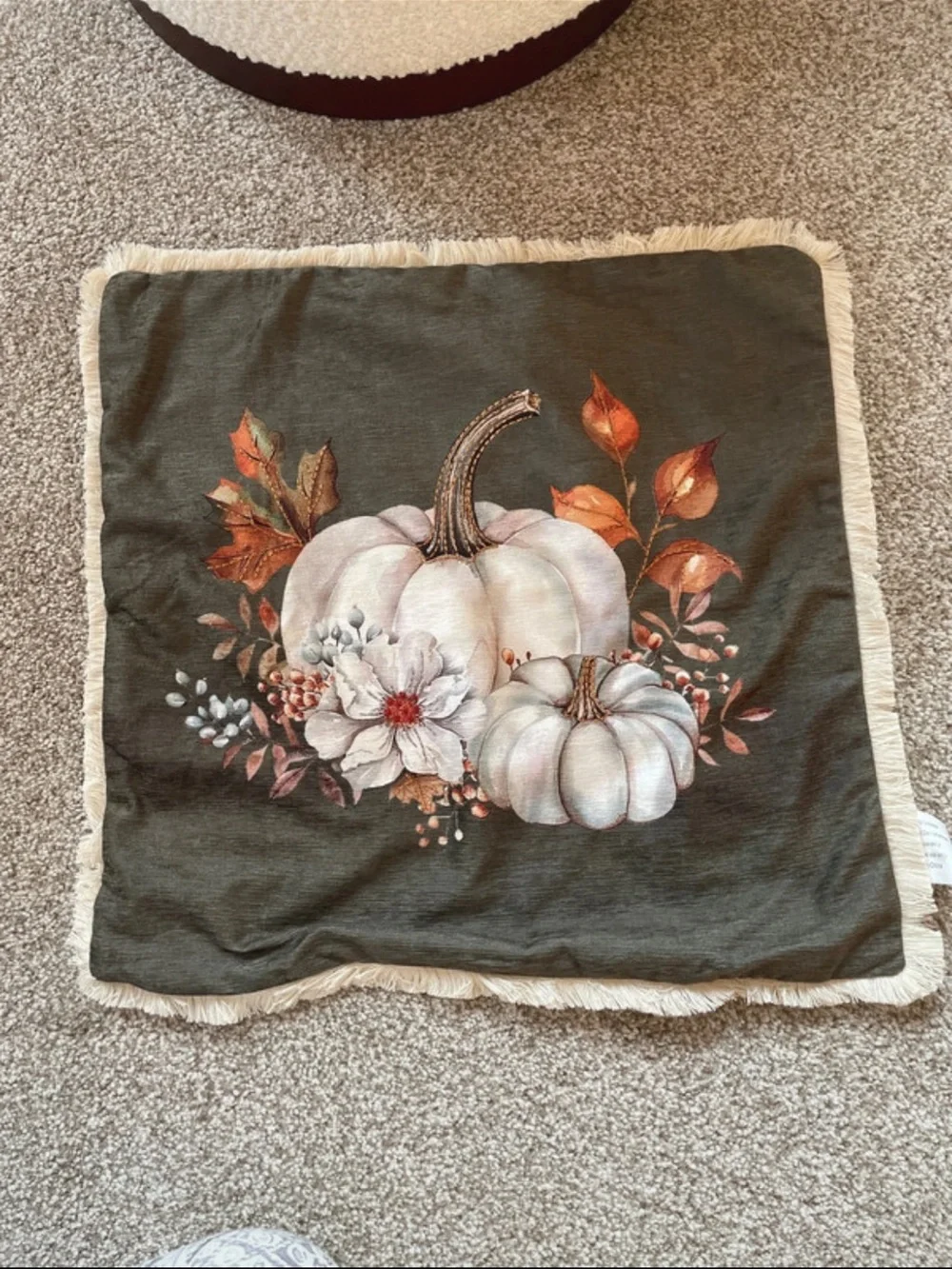 Harvest Pumpkin Decorative Pillow Cover
